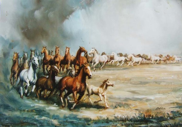 Horses