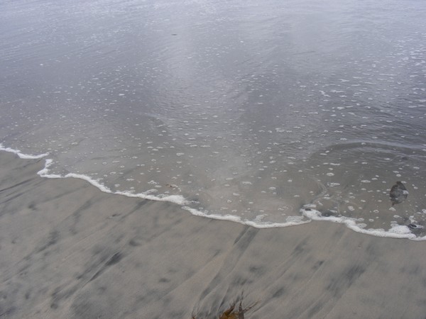 waters edge