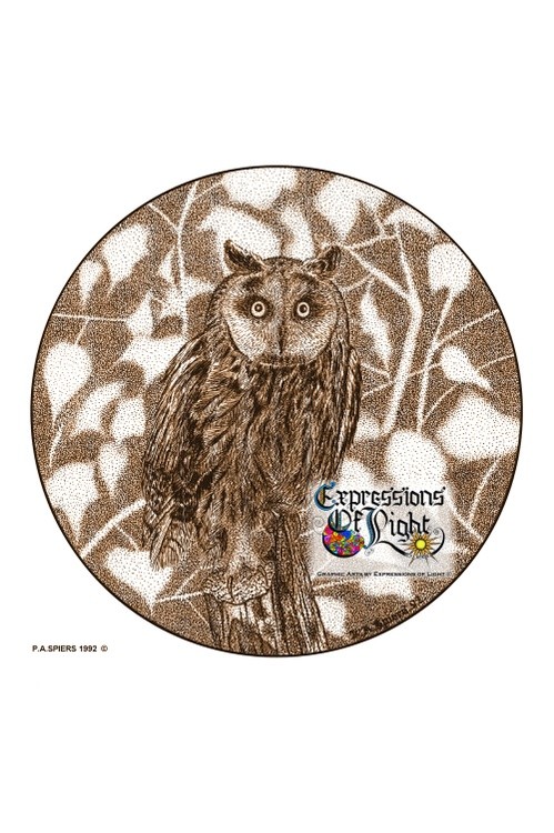ExpoLight-Graphic-Arts-Owl-1992-0001 (Pen-&-Ink-Sepia-SP)