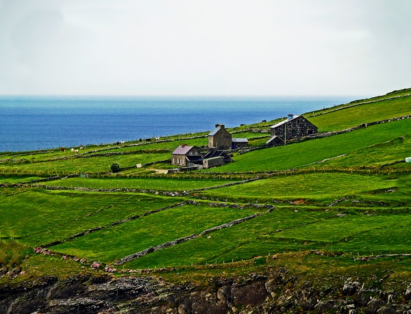 Irish Farm I
