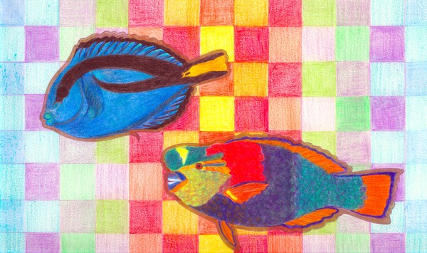 Funny Fish