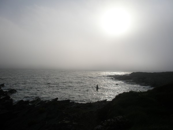 The Sea