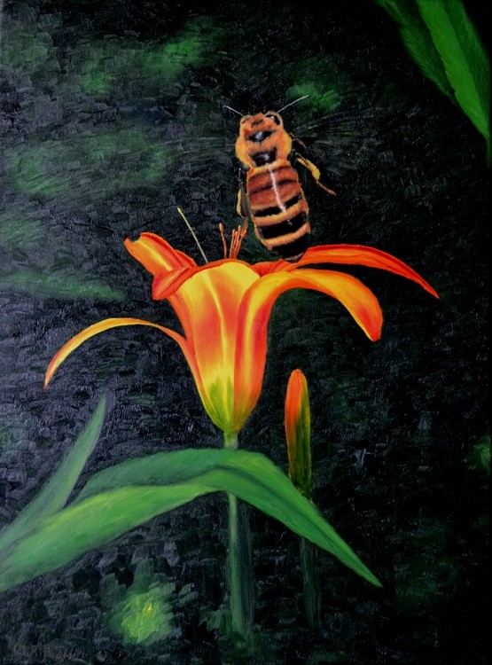 Honey bee landing on a day lilly