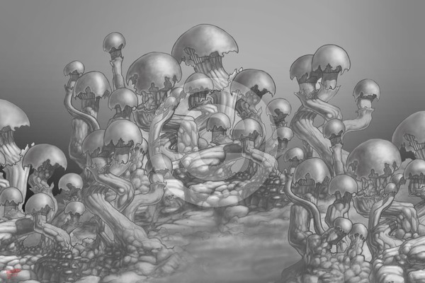 Awesome mushrooms