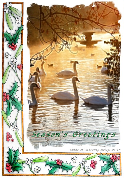 swans xmas card
