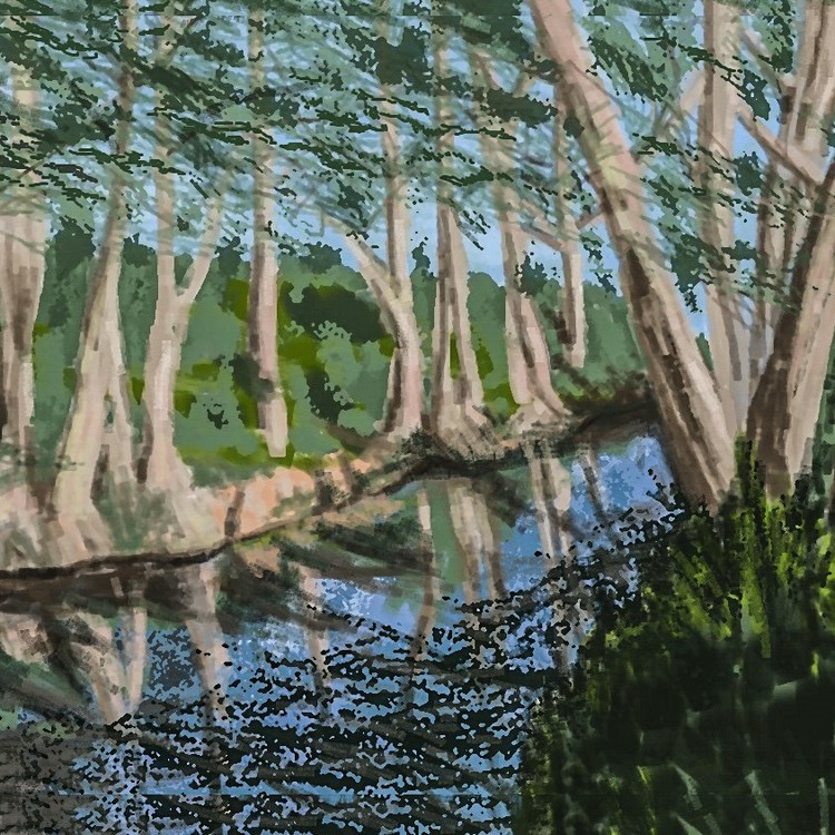 Hill Country Water