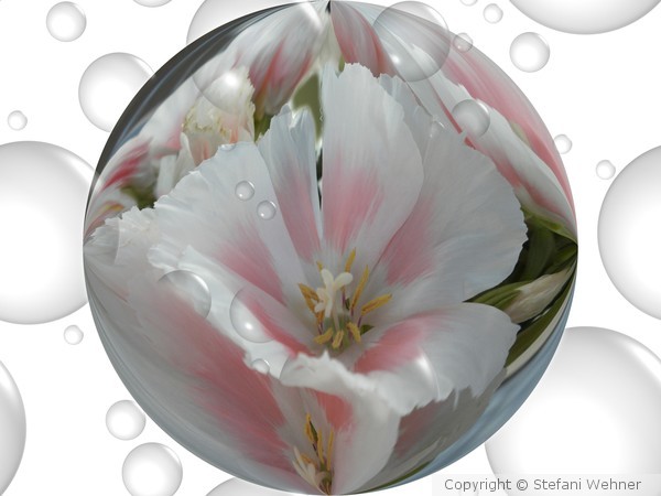 drop with flower