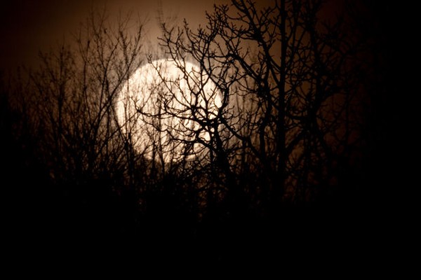 March 10 Full Moon