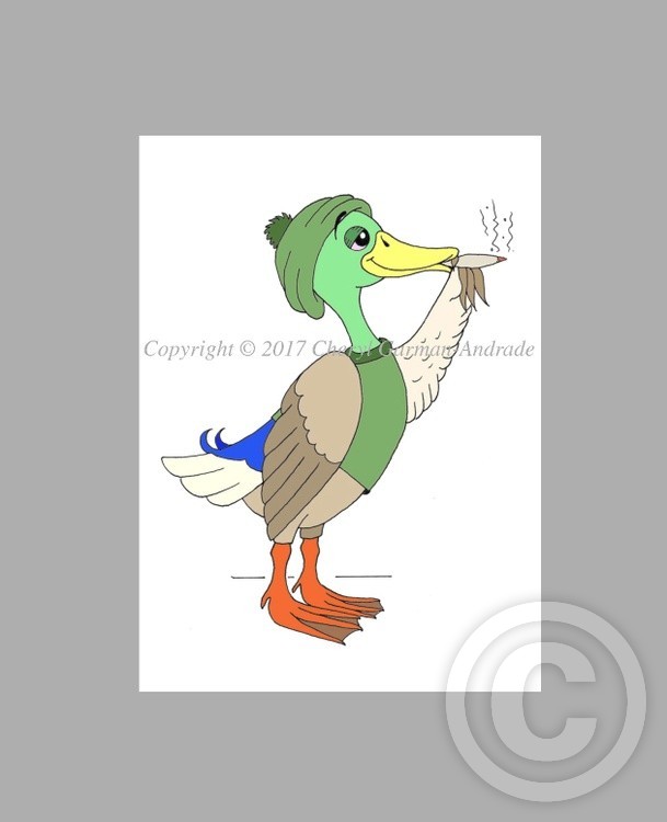 Whimsical Smoking Mallard Illustration