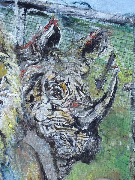 Rhino Miner  in Oil