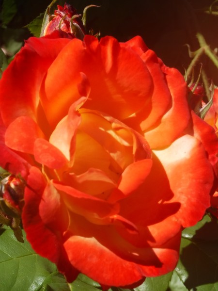 Warm Greetings