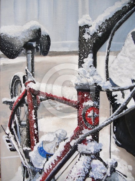 Bicycle in Snow