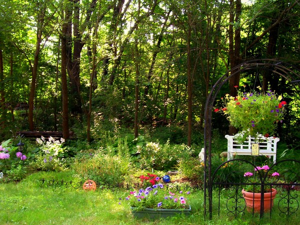 update of my garden