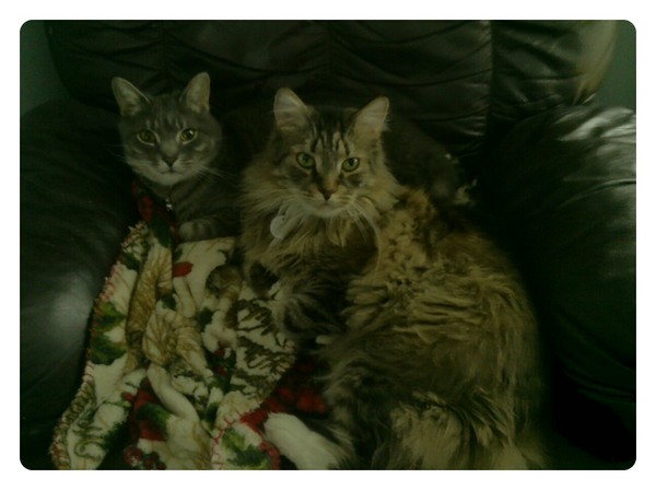Lazarus and Casey