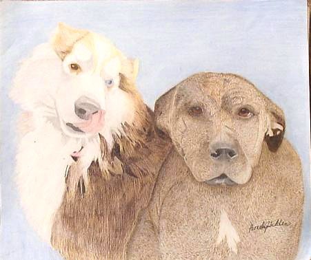 Poochies