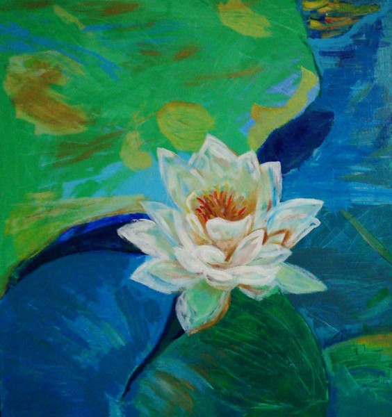 Water Lily