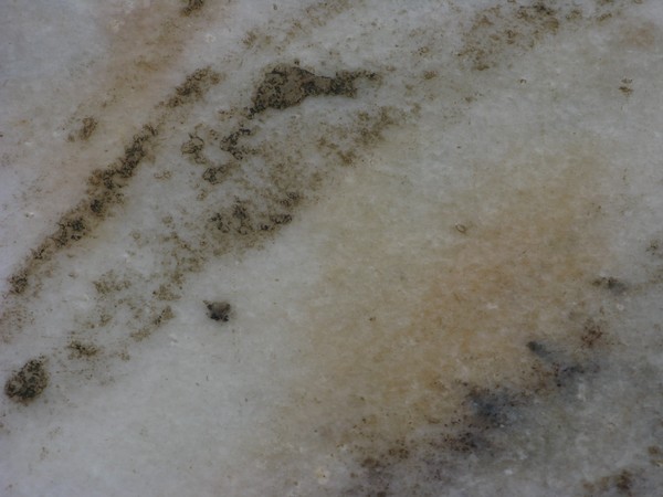 Taj Mahal Marble Close-Up