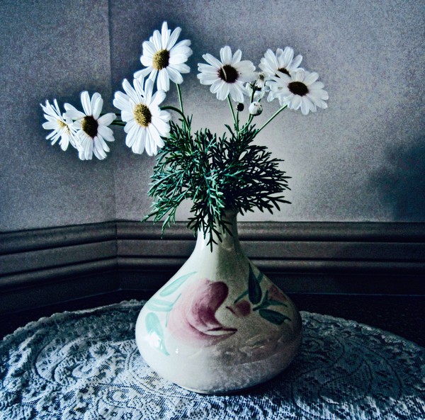 Daisies in a vase