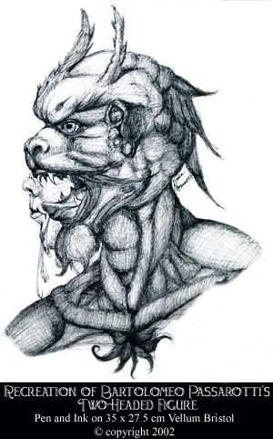 Two headed figure Revisited