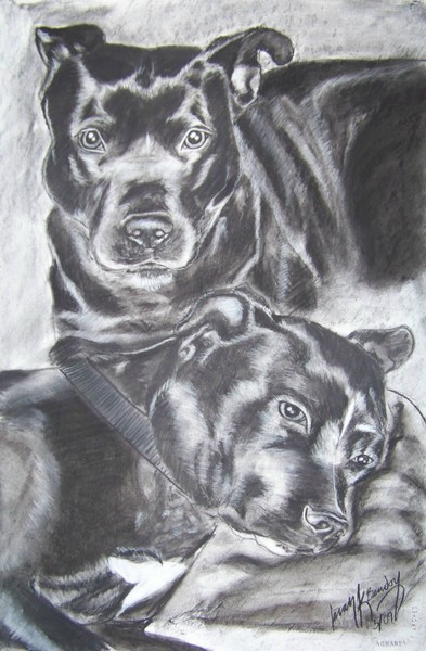 Pet Portrait, May 2009