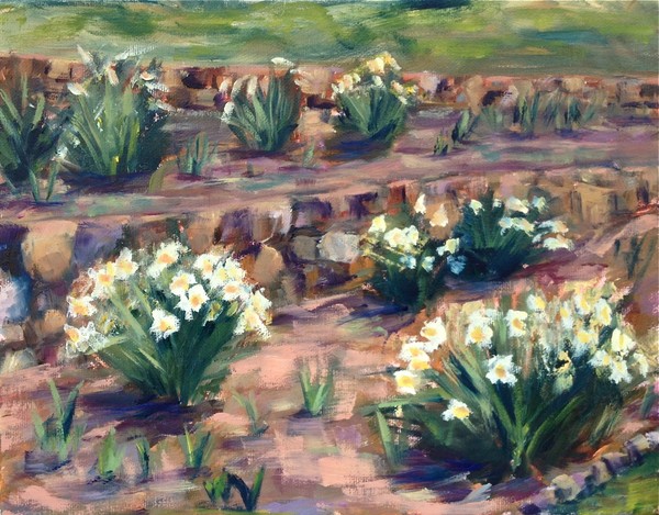 DAFFODILS