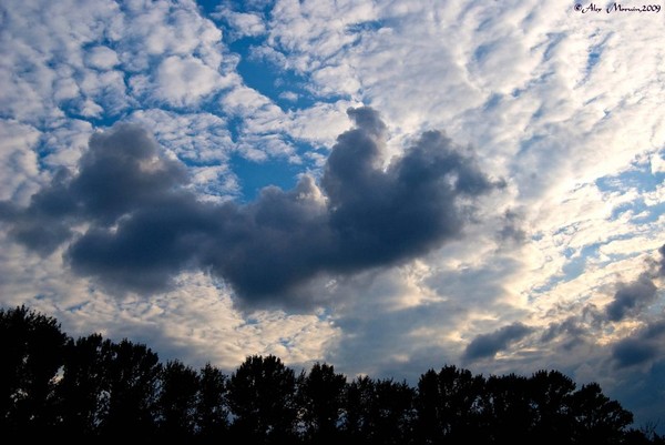 The sky and the Earth