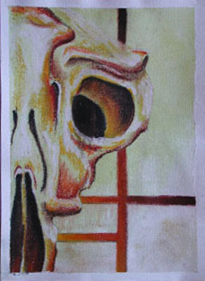 Cow Skull