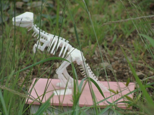 Dinasaur