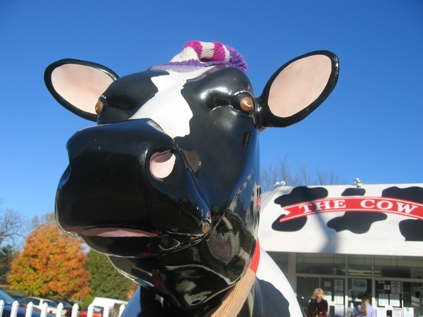 Cow Two