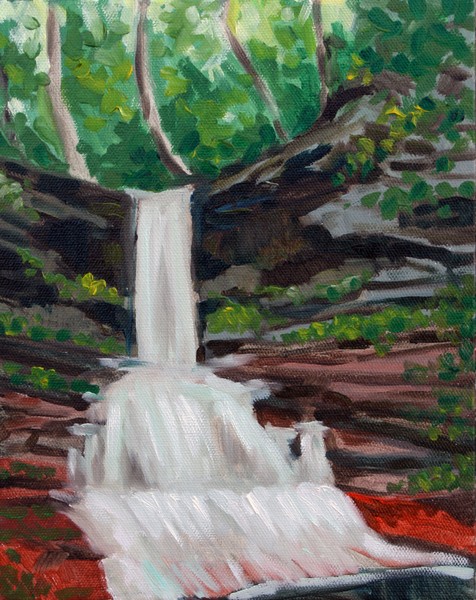 Reynolds falls