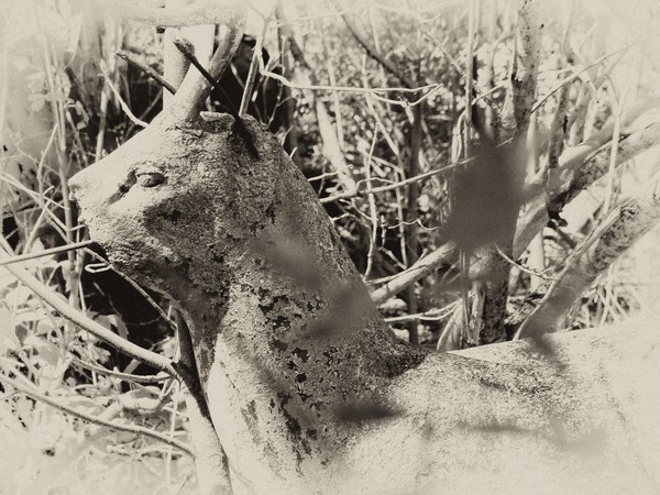 Old Stone Deer