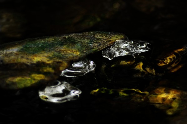Ice Sculpture 