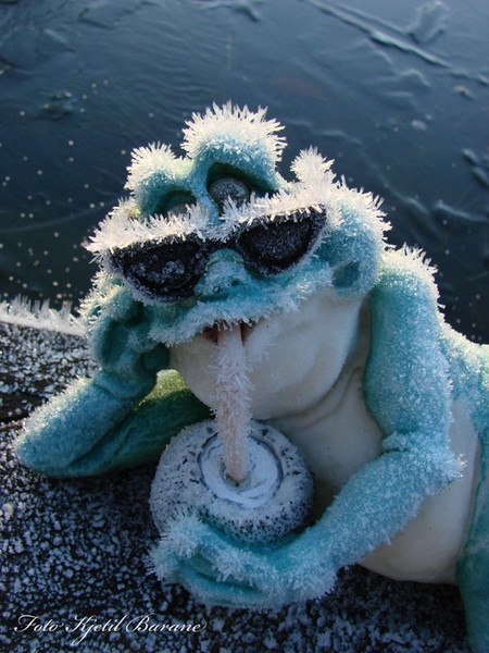 freeze`n frog 