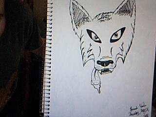 Wolf face