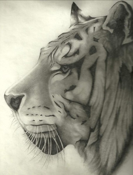 Tiger Face