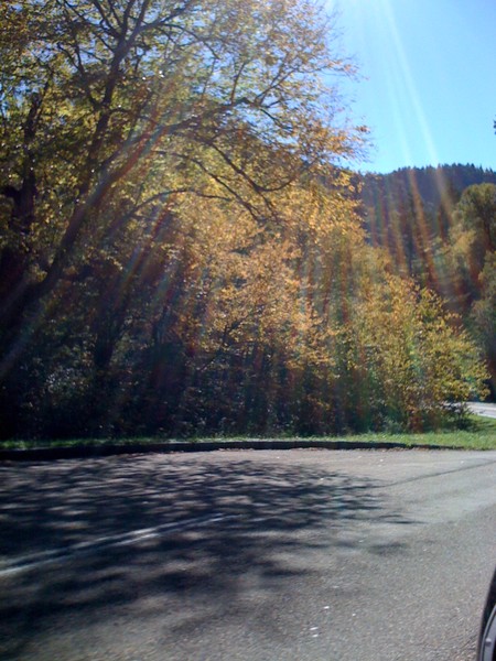 Shine