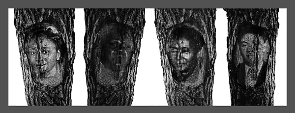 Ancestor Trees