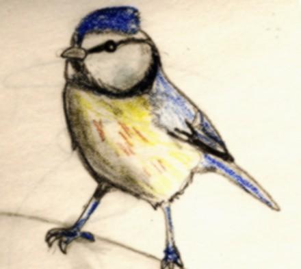 Blue Jay
