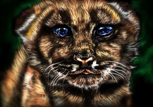 Cub Scout