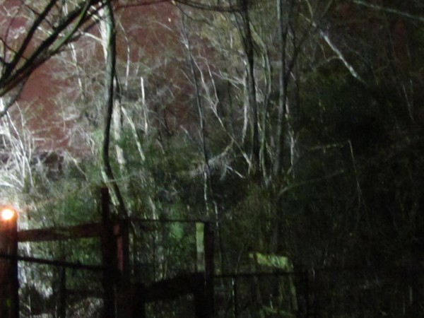 Spooky Fall Night