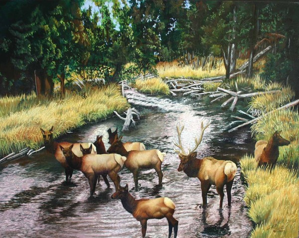 Crossing Over