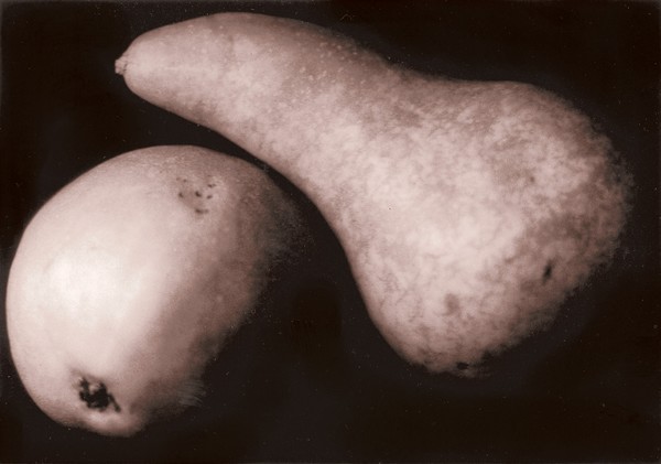 2 Pears, leaning