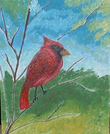 cardinal