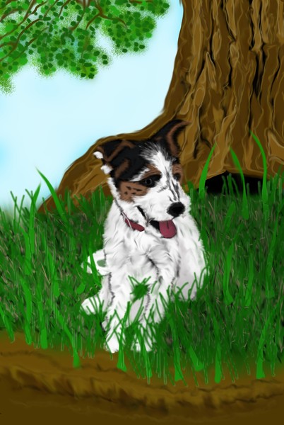 dog