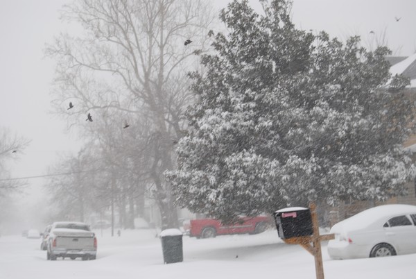 winter 1