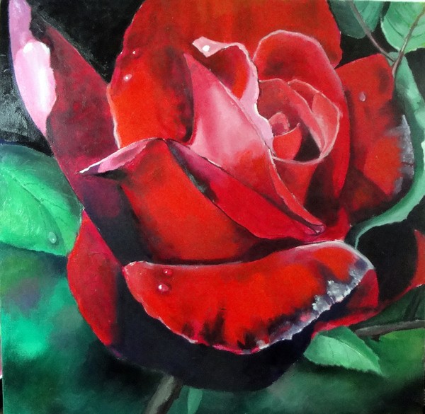Dusky Rose