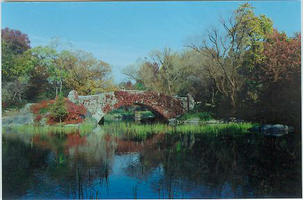 Central Park's views