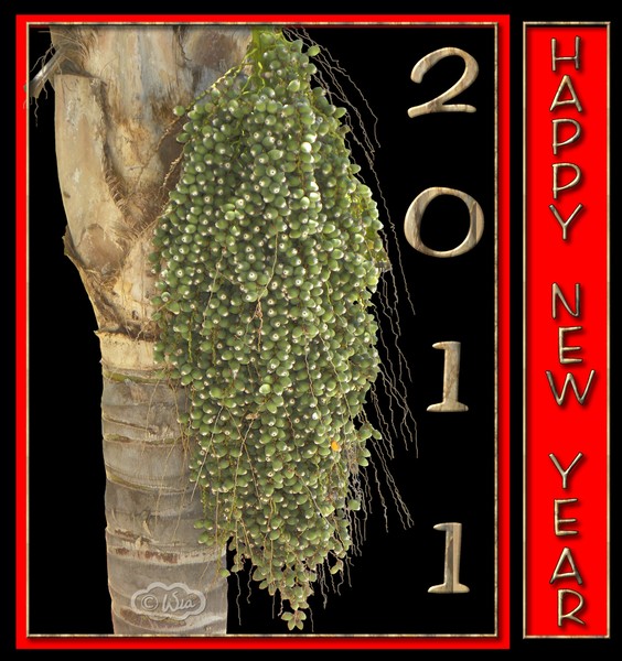 Happy 2011