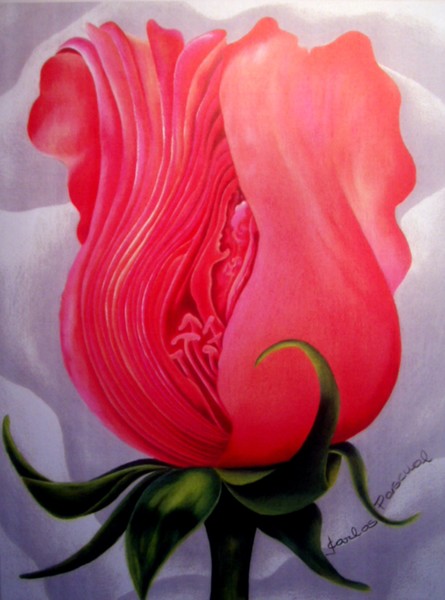 Rose (detail)
