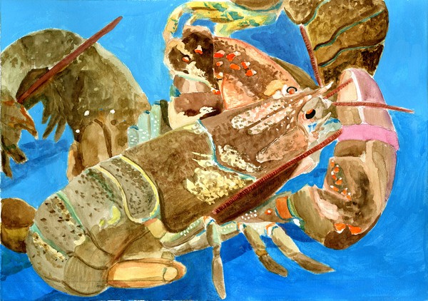 Lobster 